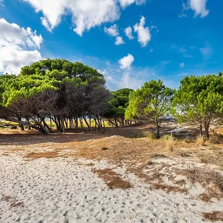 Charming Near La Caletta Beaches Apartment