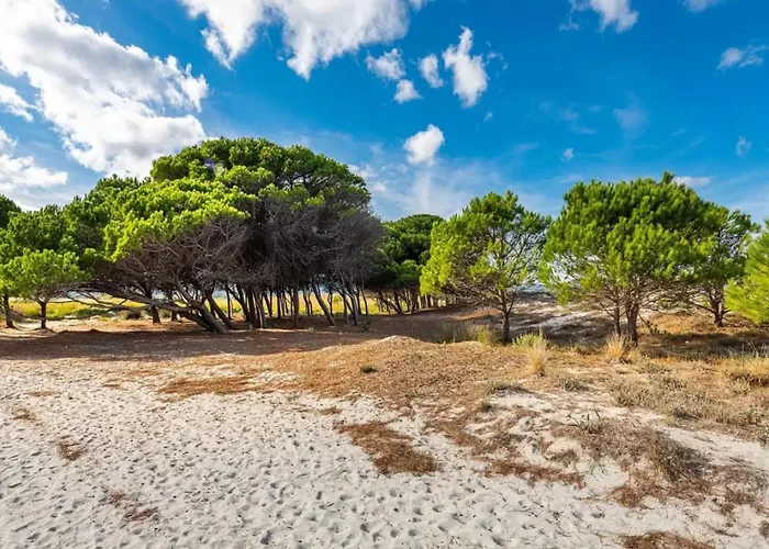 Retreat Near La Caletta Beaches Daire